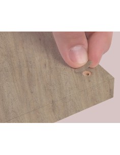 Blister Mini Tapa Tornillo - Caju 14 X 0 45 Mm - 10 Laminas X 50 Tt