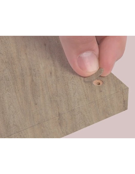 Blister Mini Tapa Tornillo - Caju 14 X 0 45 Mm - 10 Laminas X 50 Tt