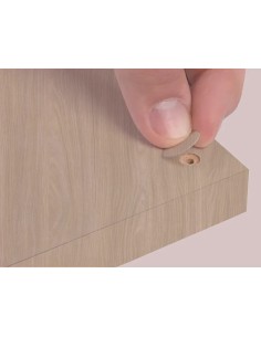 Blister Mini Tapa Tornillo - Camellia 14 X 0 45 Mm - 10 Laminas X 50 Tt