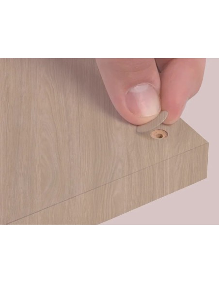 Blister Mini Tapa Tornillo - Camellia 14 X 0 45 Mm - 10 Laminas X 50 Tt