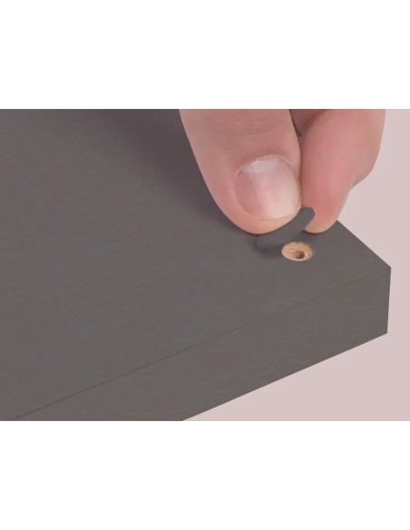 Blister Mini Tapa Tornillo - Coliseo 14 X 0 45 Mm - 10 Laminas X 50 Tt