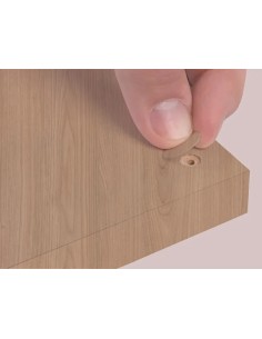Blister Mini Tapa Tornillo - Paraiso 14 X 0 45 Mm - 10 Laminas X 50 Tt