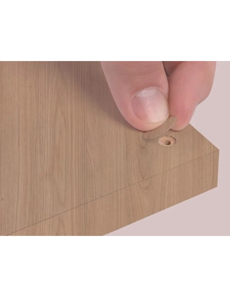 Blister Mini Tapa Tornillo - Paraiso 14 X 0 45 Mm - 10 Laminas X 50 Tt