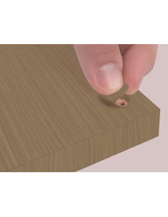 Blister Mini Tapa Tornillo - Petiribi 14 X 0 45 Mm - 10 Laminas X 50 Tt