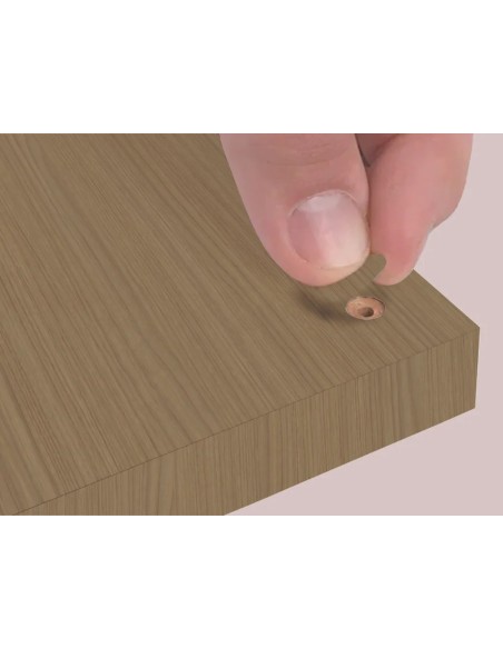 Blister Mini Tapa Tornillo - Petiribi 14 X 0 45 Mm - 10 Laminas X 50 Tt