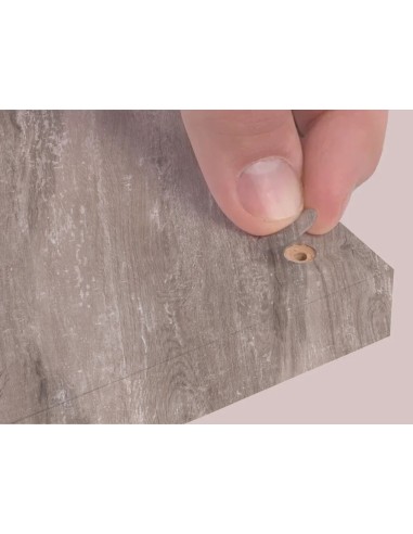 Blister Mini Tapa Tornillo - Praga 14 X 0 45 Mm - 10 Laminas X 50 Tt