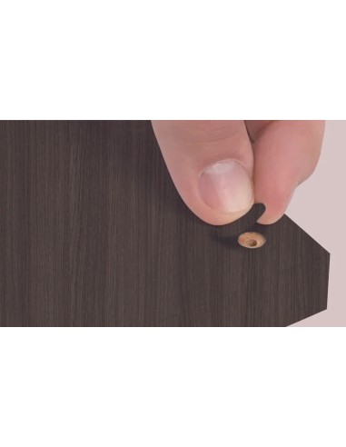 Blister Mini Tapa Tornillo - Roble Dakar 14 X 0 45 Mm - 10 Laminas X 50 Tt