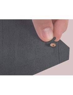 Blister Mini Tapa Tornillo - Sauco 14 X 0 45 Mm - 10 Laminas X 50 Tt
