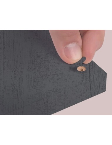 Blister Mini Tapa Tornillo - Sauco 14 X 0 45 Mm - 10 Laminas X 50 Tt