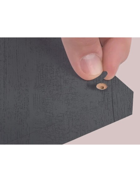 Blister Mini Tapa Tornillo - Sauco 14 X 0 45 Mm - 10 Laminas X 50 Tt