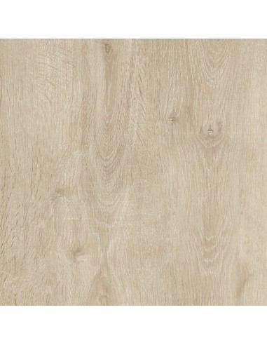 Canto Pvc - Roble Escandinavo 22 X 2 Mm X Ml
